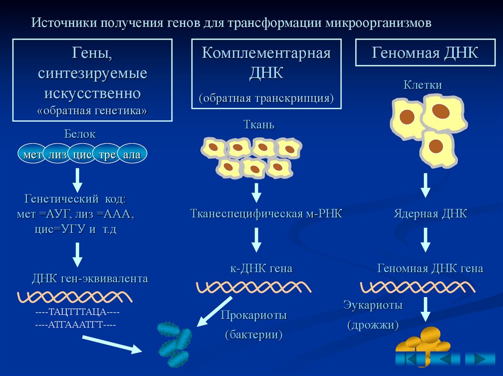 Получение ген