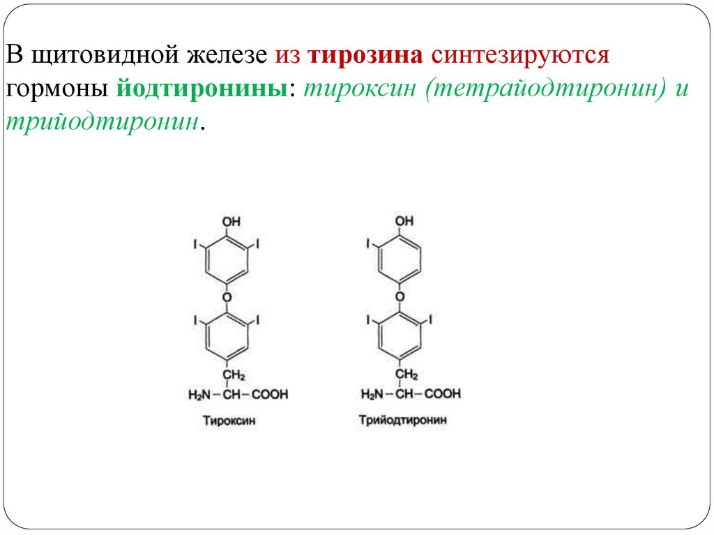 Синтез йодтиронинов схема