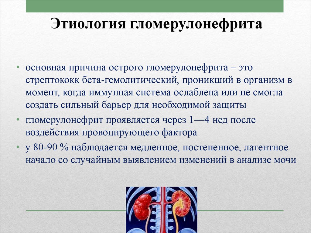 Клиническая картина острого гломерулонефрита