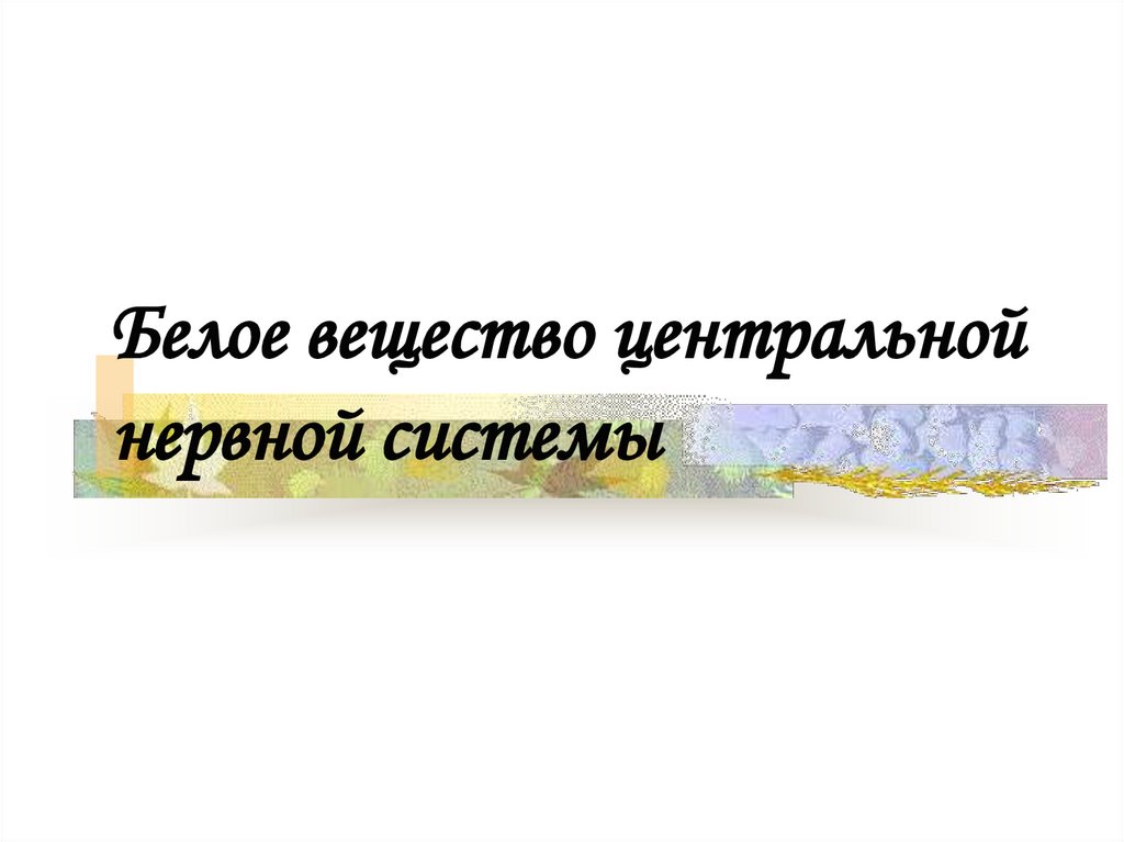 Белое вещество центральной нервной системы