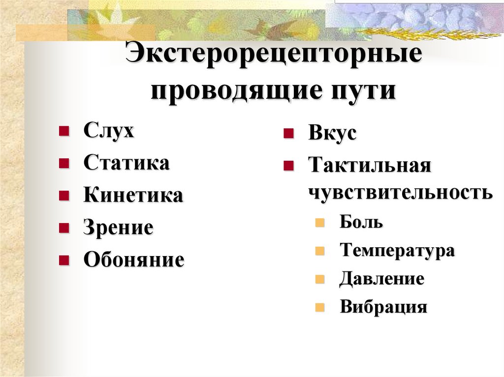 Экстерорецепторные проводящие пути