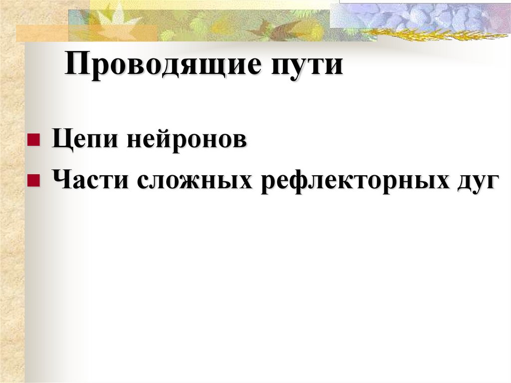 Проводящие пути