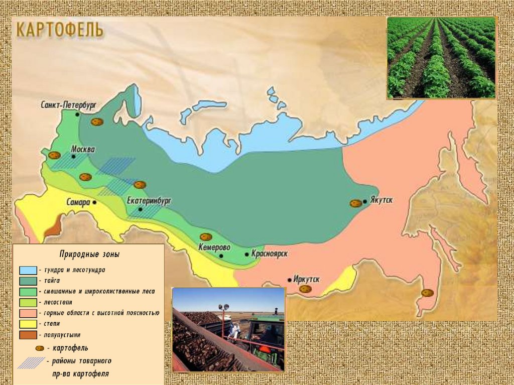 Вологодская область в какой природной зоне находится. Природные зоны Якутии. Природные зоны Якутии на карте. Якутия в какой природной зоне расположена. Якутск природная зона.