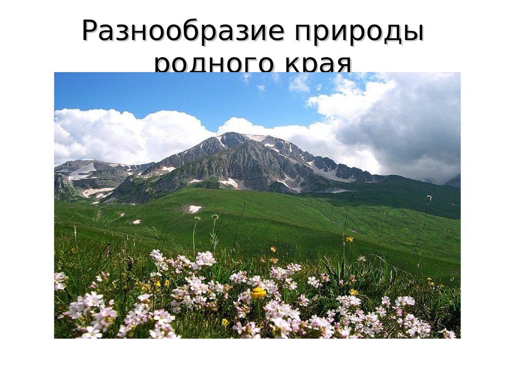 Разнообразие природы родного края Краснодарского края - презентация онлайн