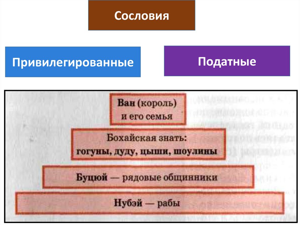 Податные сословия. Привилегированные сословия. Привилегии податного сословия.