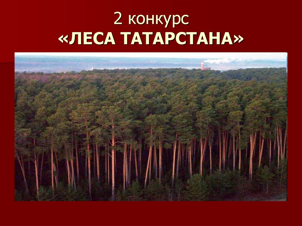 2 конкурс «ЛЕСА ТАТАРСТАНА»