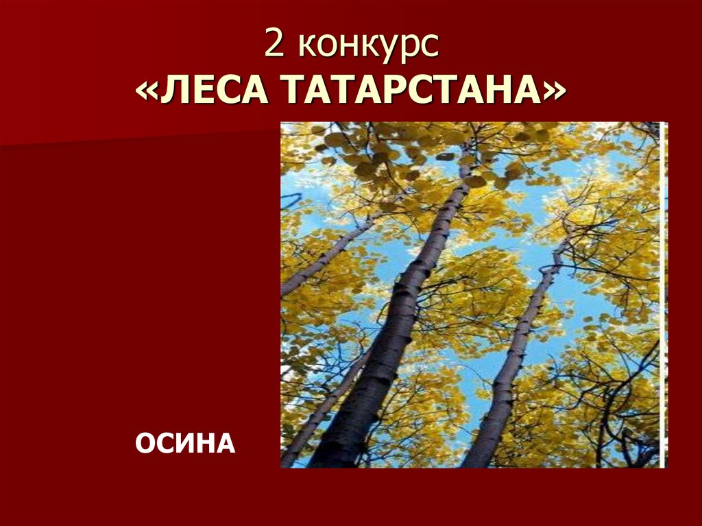 2 конкурс «ЛЕСА ТАТАРСТАНА»