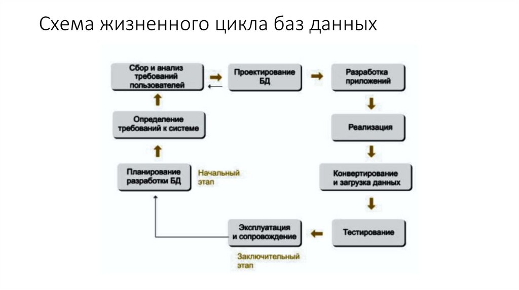 Этап разработки данных. Этапы проектирования баз данных жизненный цикл БД. Основные этапы жизненного цикла БД. Жизненный цикл БД состоит:. Этапы жизненного цикла БД планирование разработки.