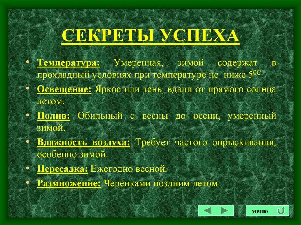 Содержание растений. Умеренная температура. Успех трава краткий пересказ.