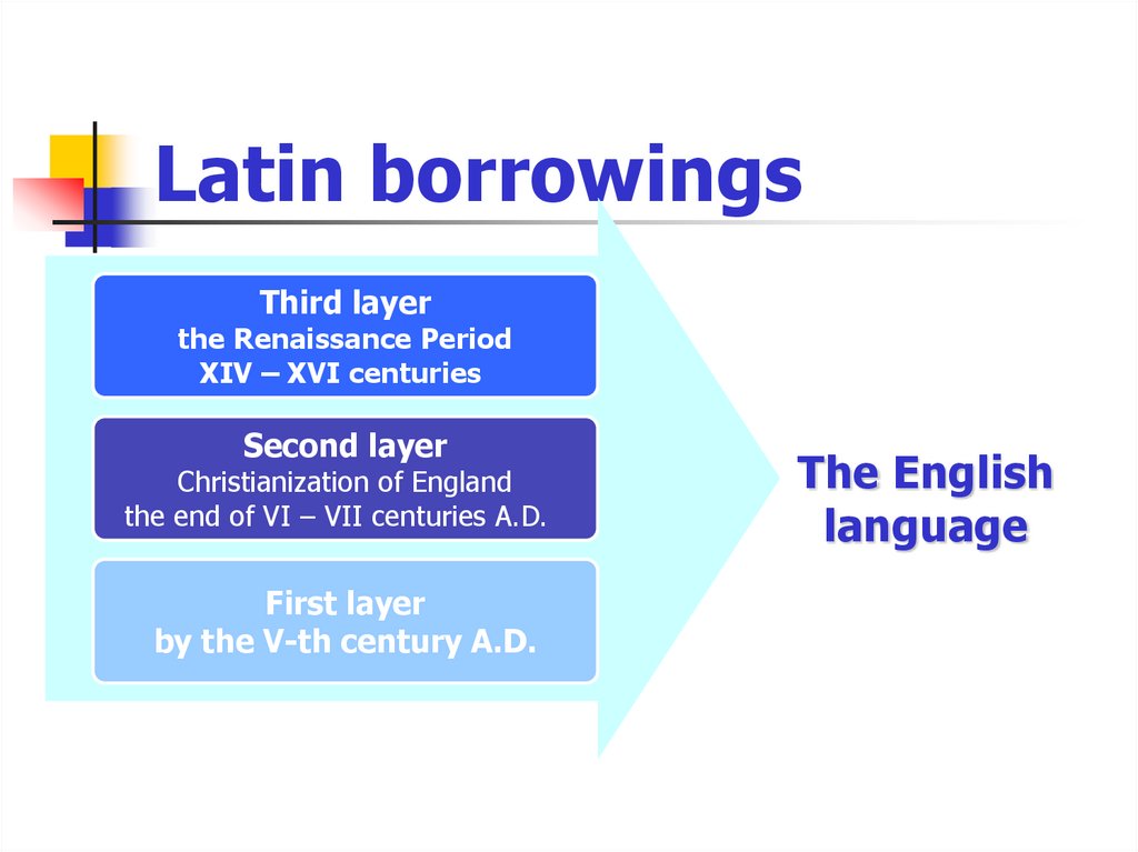 Latin borrowings