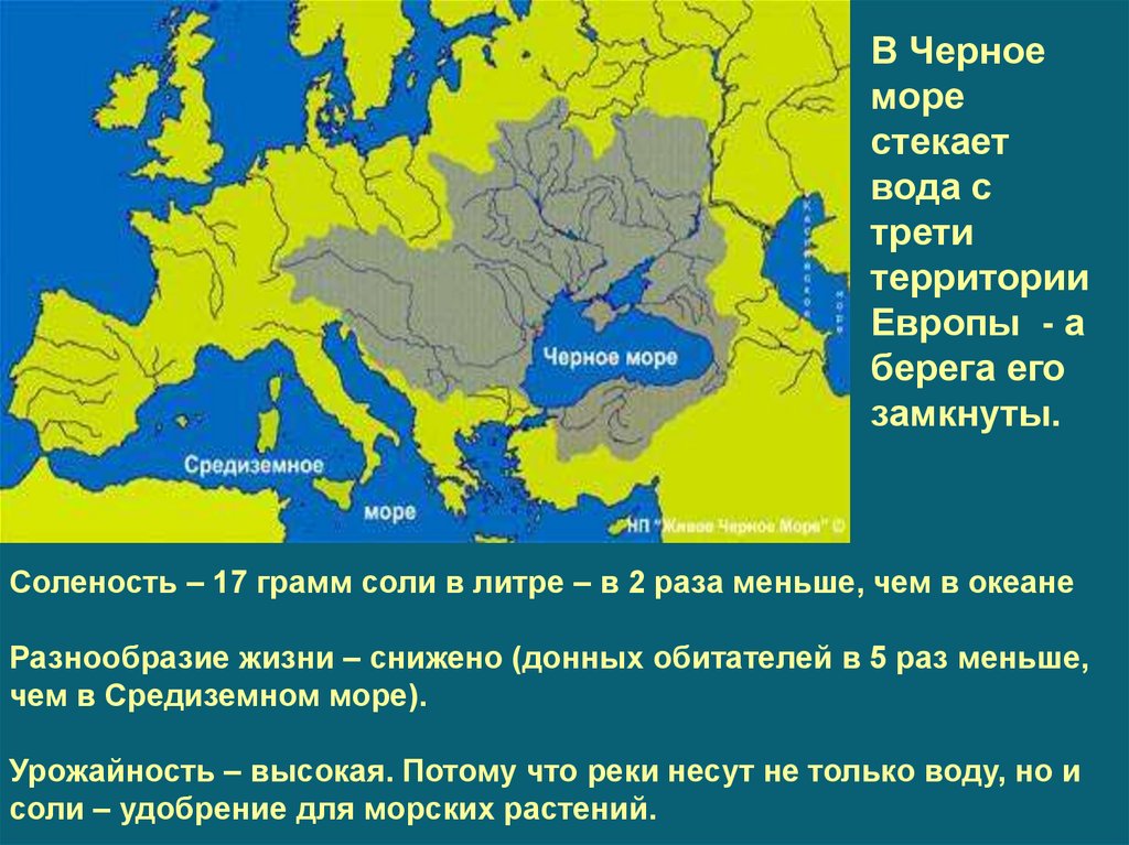 Треть территории. Расположение черного моря 4 класс. Доклад 2 класс про Средиземное море. Типы берегов Европы. Взаимосвязи у черного моря.