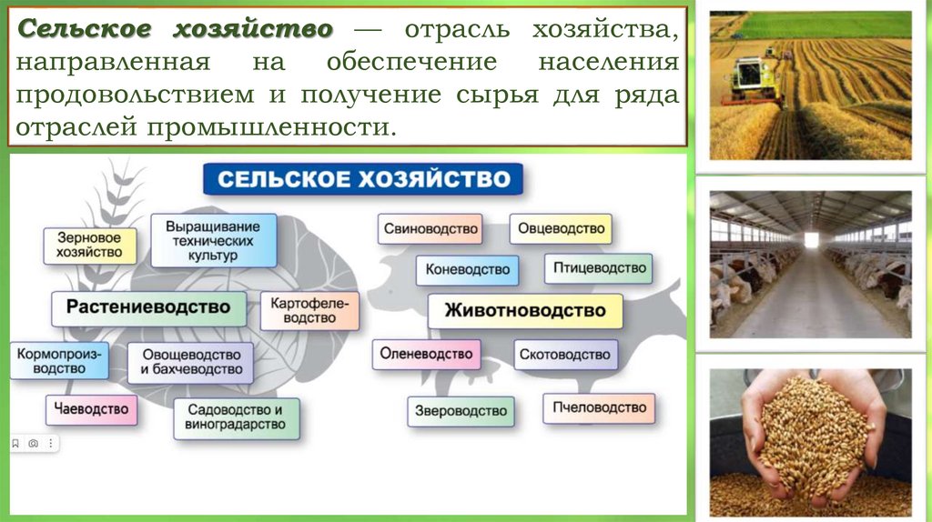 Мировое сельское хозяйство 10 класс