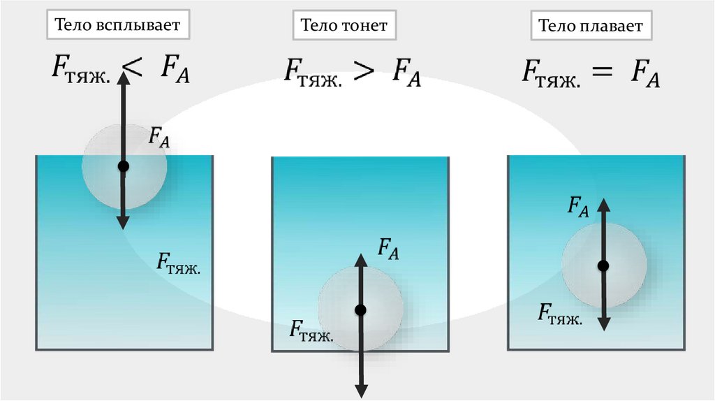 Презентация условия плавания тел