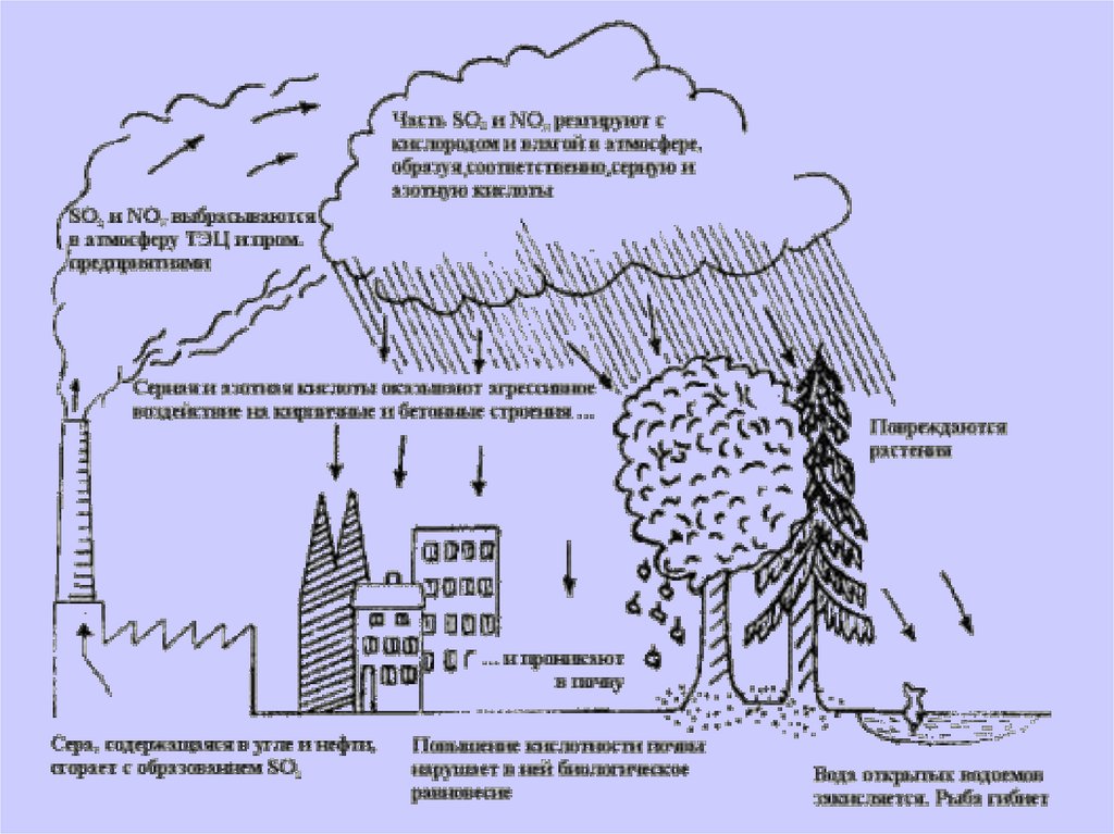 Кислотный смог. Схема процесса загрязнения атмосферы. Загрязнение атмосферы схема. Выбросы в атмосферу схема. Загрязнение воздуха схема.
