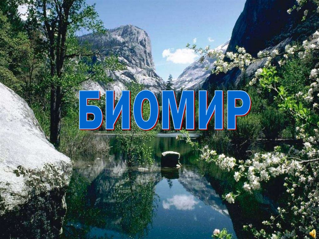 Биомир