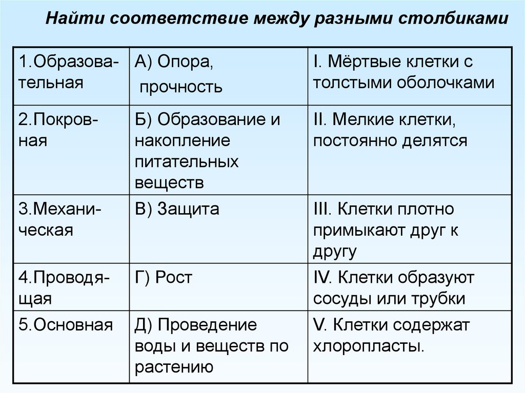 Клетки постоянно делятся. Найти соответствие между разными столбиками. Найди соответствие между разными столбиками. Найти соответствие между разными столбиками ответ. Найти соответствие между разными столбиками биология 6 класс.