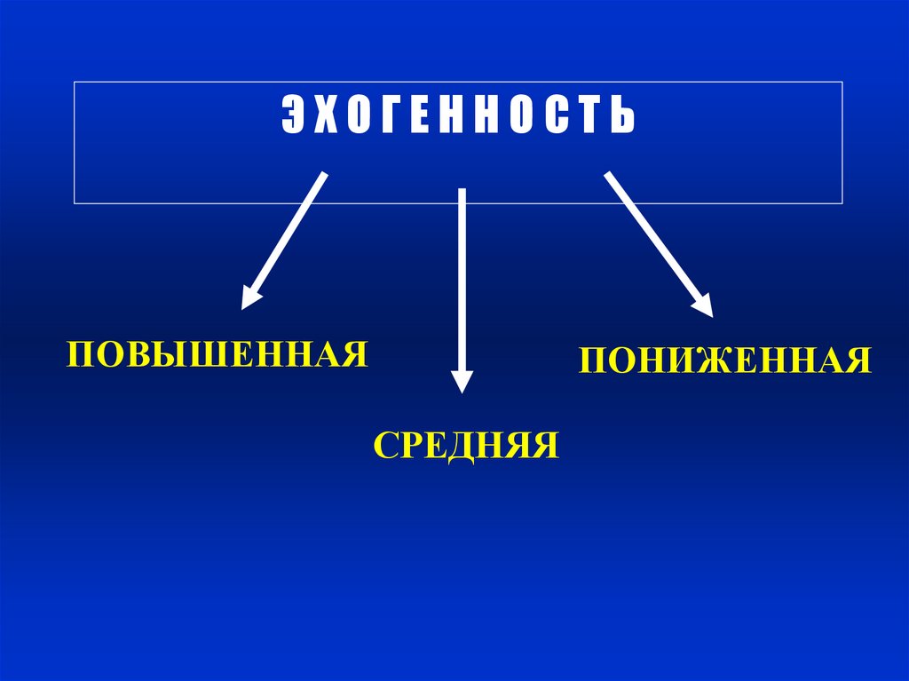 Э Х О Г Е Н Н О С Т Ь