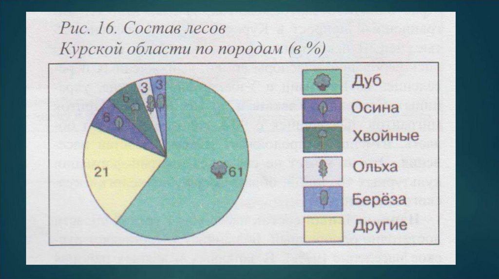 Презентация география курская область