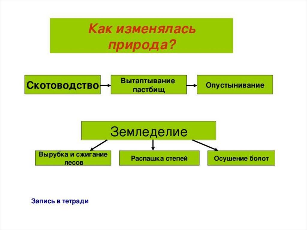 Природа и человек история 5 класс. Как человек изменил землю 5 класс биология. Ка человекизменяет природу. Как человек изменял природу. Как человек изменял природу 5 класс.