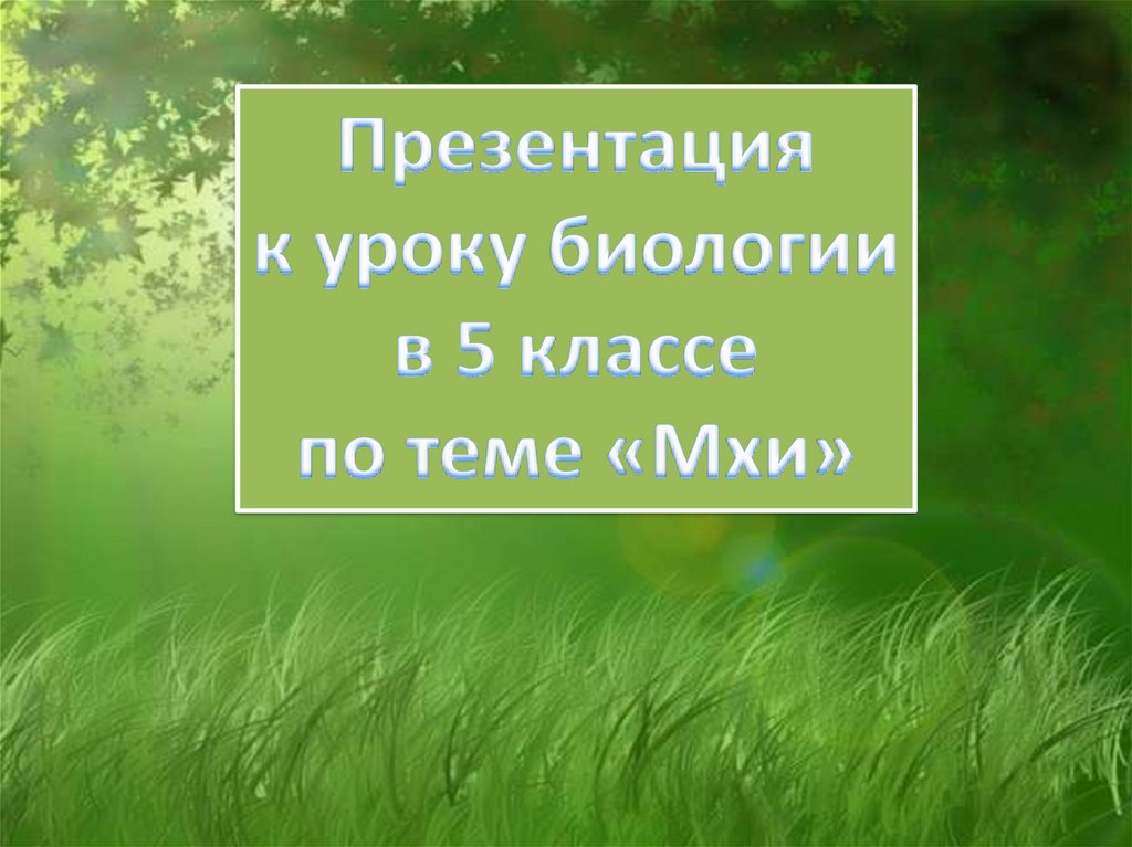 Презентация по биологии 5 класс. Мхи презентация 7 класс биология. Презентация Моховидные 7 класс биология. Мхи презентация 7 класс.