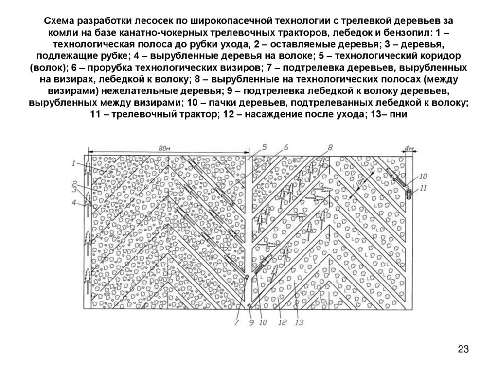 Схема разработки лесосеки харвестером и форвардером при сплошной рубке