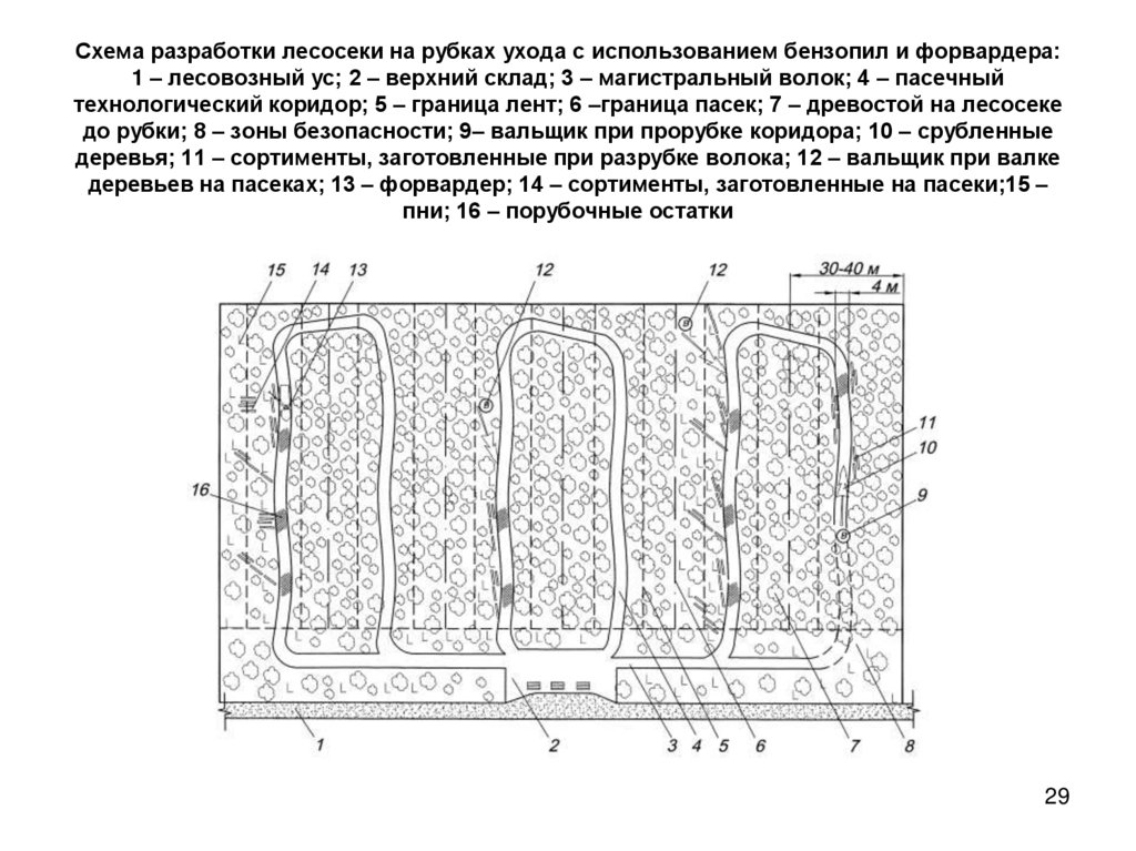 Технологическая карта образец лесосеки