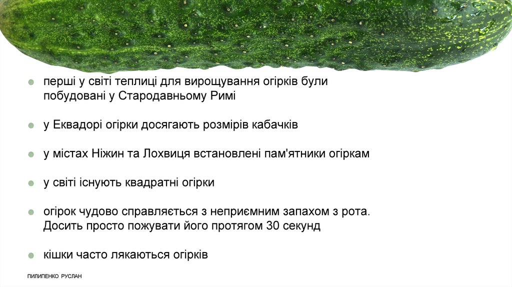 Цікаві_факти_про_огірки_Пилипенко_Руслан_ - online presentation