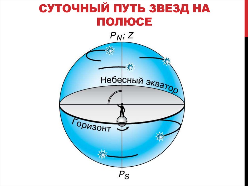 Видимое движение светил презентация