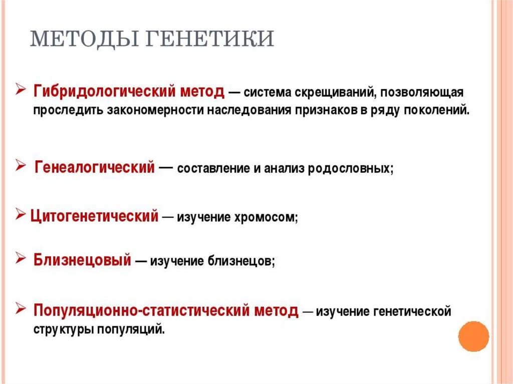 Методы генетики человека презентация