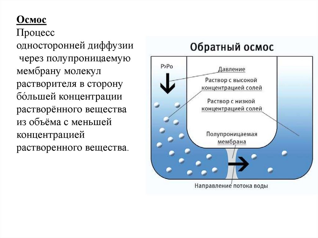 Осмос картинка биология