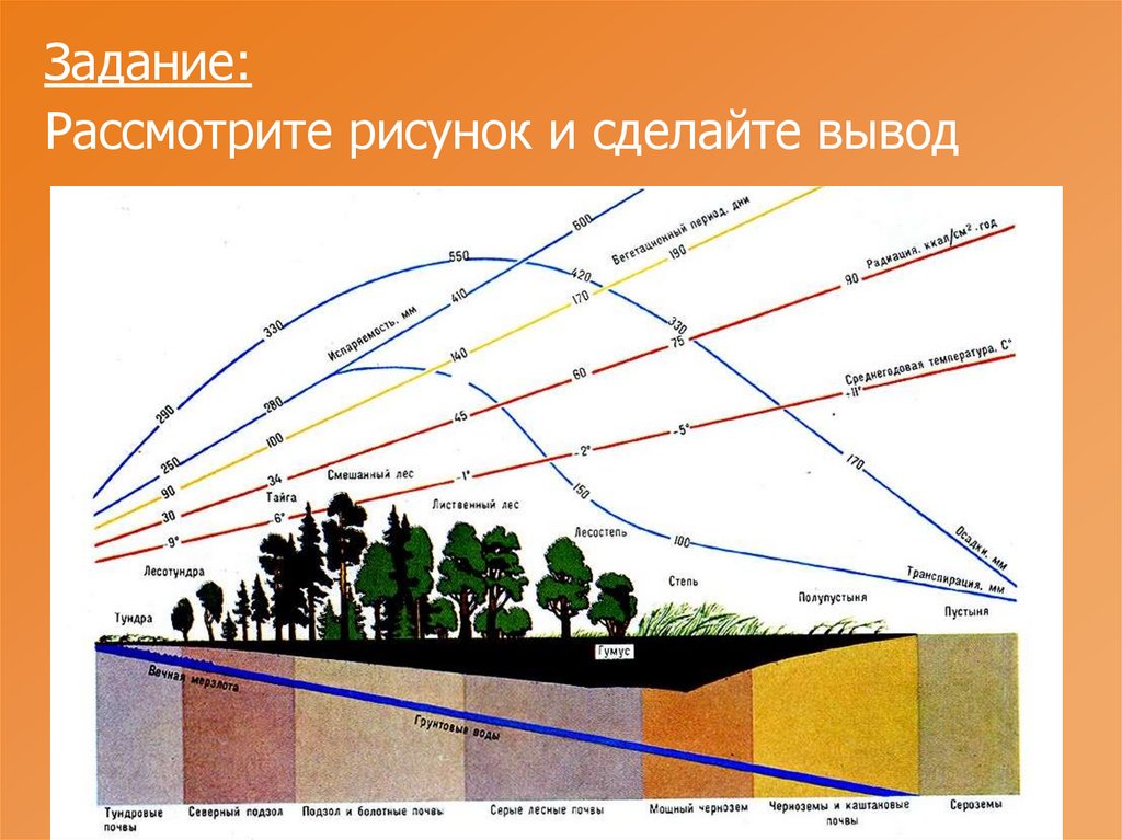 Перечислить почвы с севера на юг. Взаимосвязь почв растительности и климата. Типы почв с климатом и растительностью. Взаимосвязь типов почв с климатом и растительностью. Изменение почв с севера на Юг.