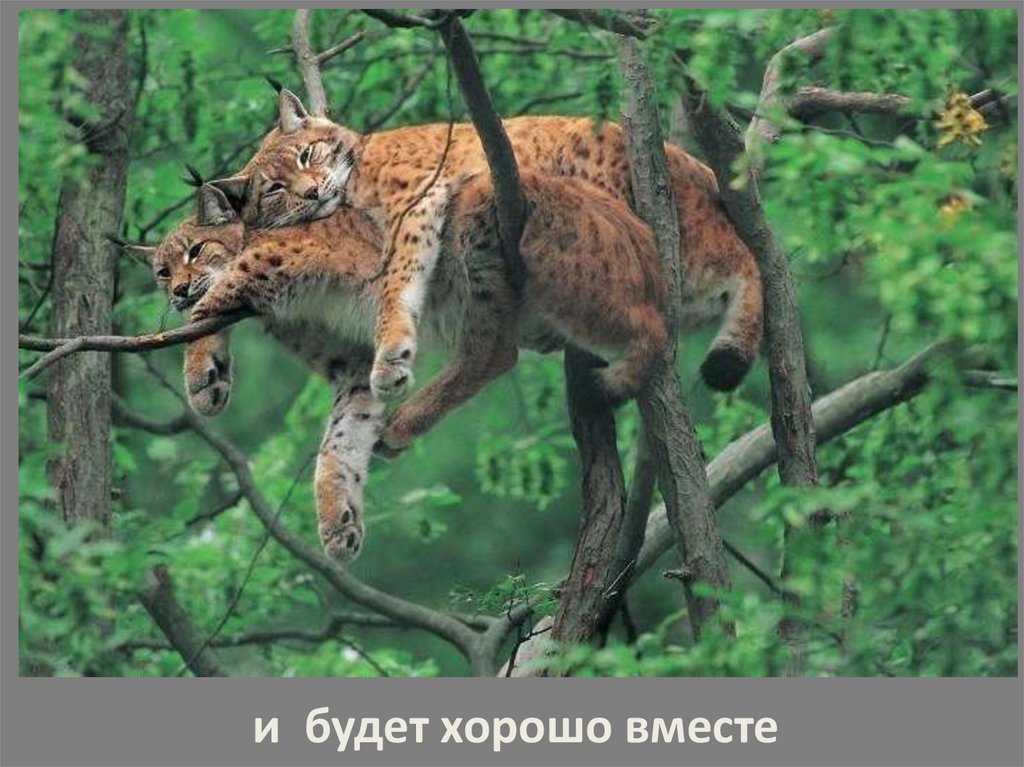 и будет хорошо вместе