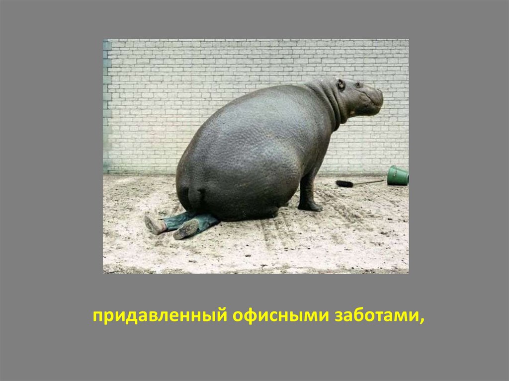 придавленный офисными заботами,