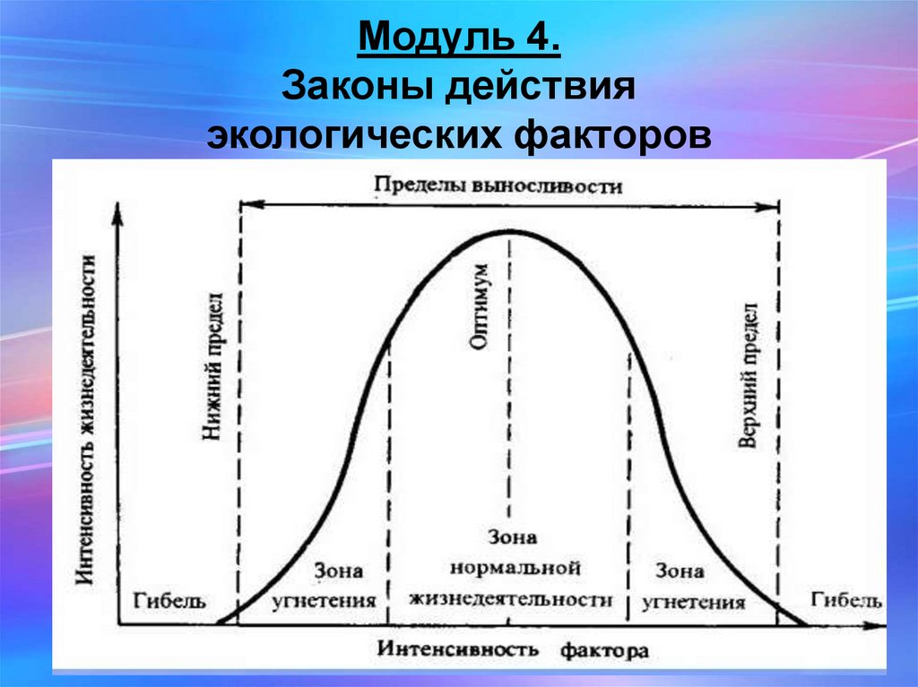 Пункты оптимума