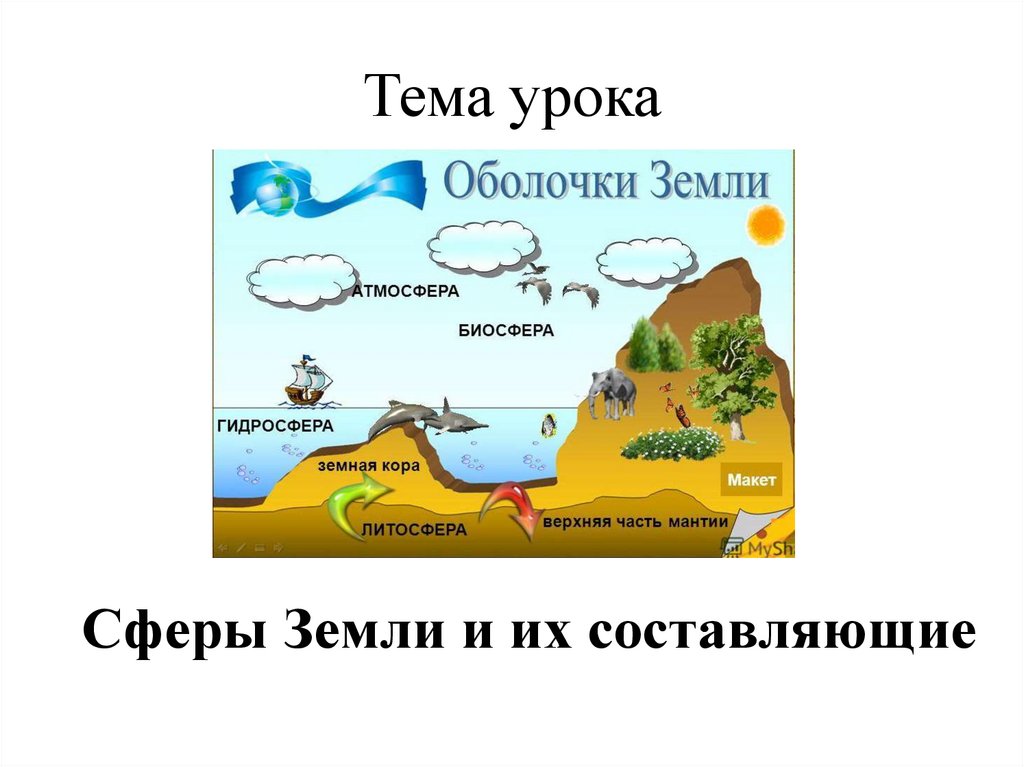 Биосфера. Географическая оболочка – онлайн-тренажер для подготовки к ЕНТ, итоговой аттестации