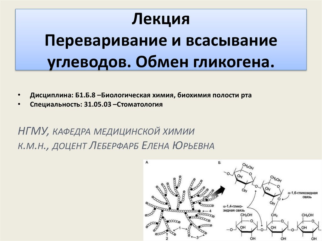 К уменьшению запасов гликогена ведут процессы