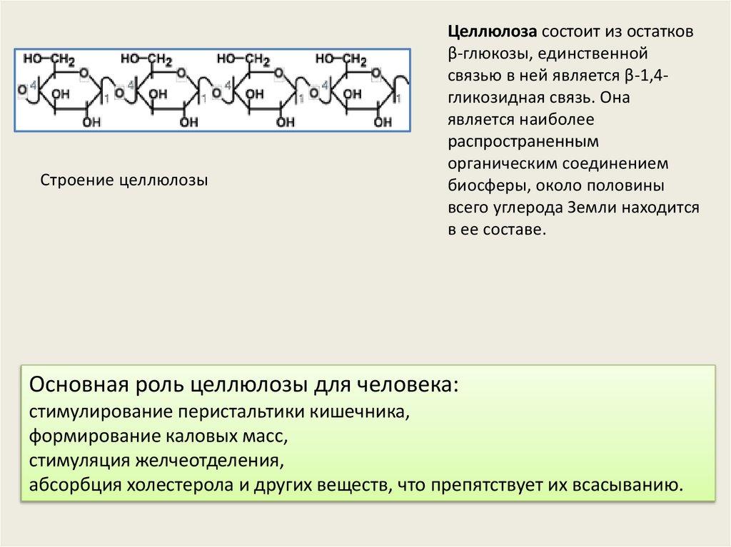 Особенности мономера углеводов