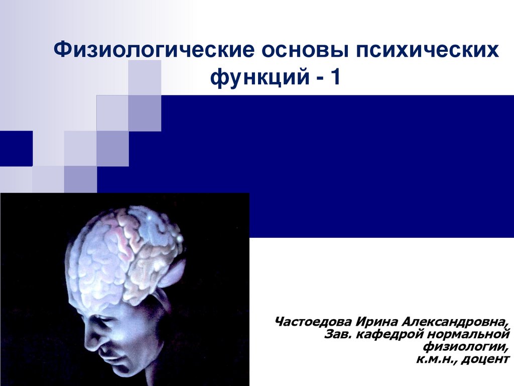 Физиологические основы психических функций человека. Тема 1 - презентация  онлайн