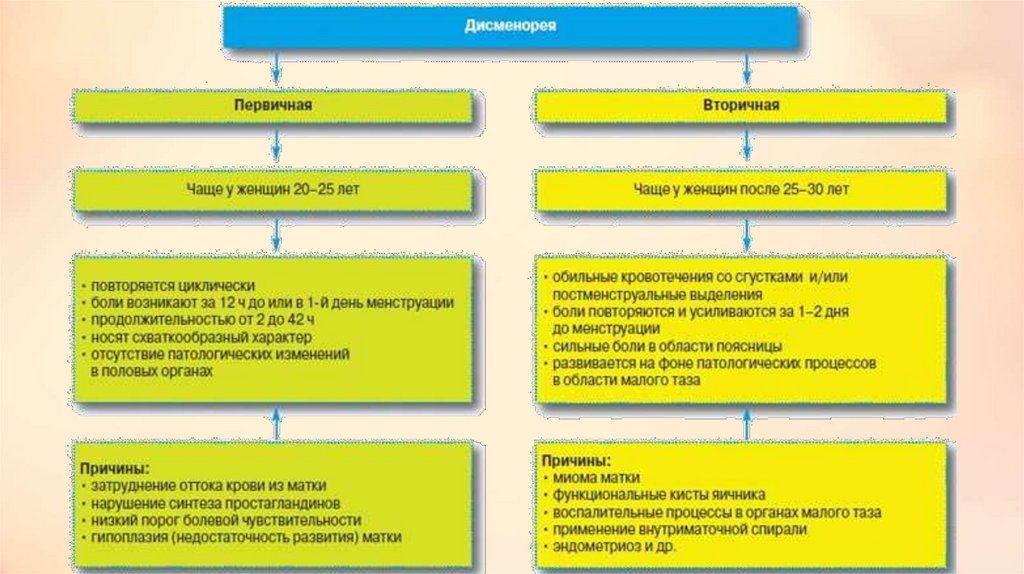 Дисменорея симптомы. Диагноз первичная дисменорея что это. Причины первичной альгодисменореи. Альгодисменорея первичная и вторичная. Причины вторичной дисменореи.