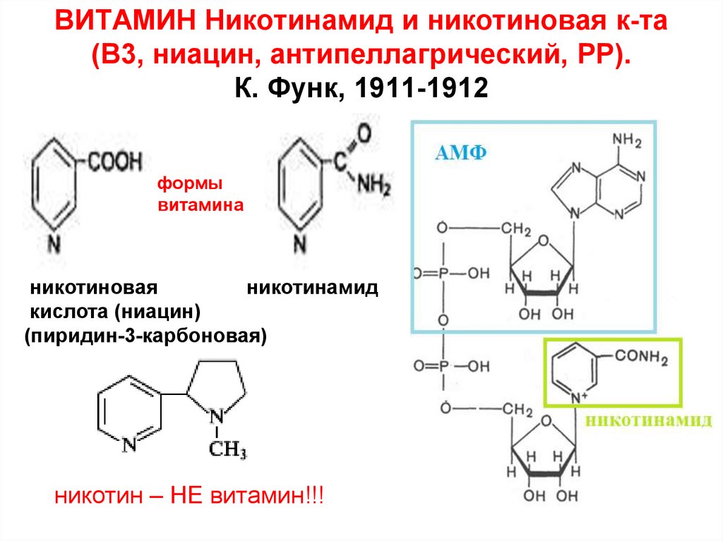 Никотинамид и никотиновая