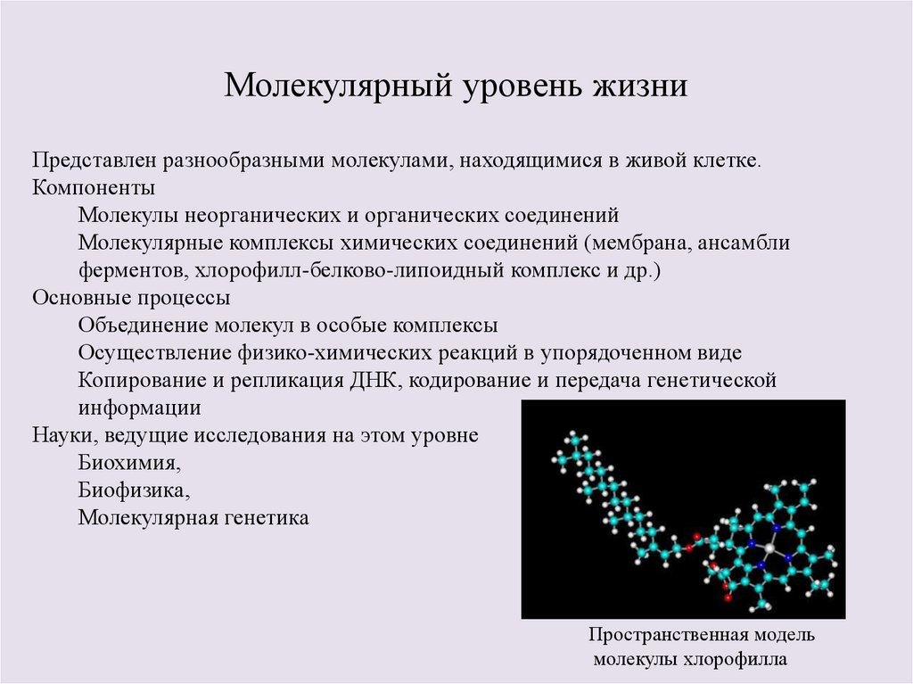 Молекулярный уровень организации изучает