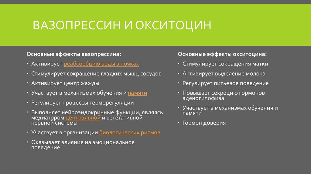 Гипоталамус Строение, функции, нарушение работы - презентацияонлайн