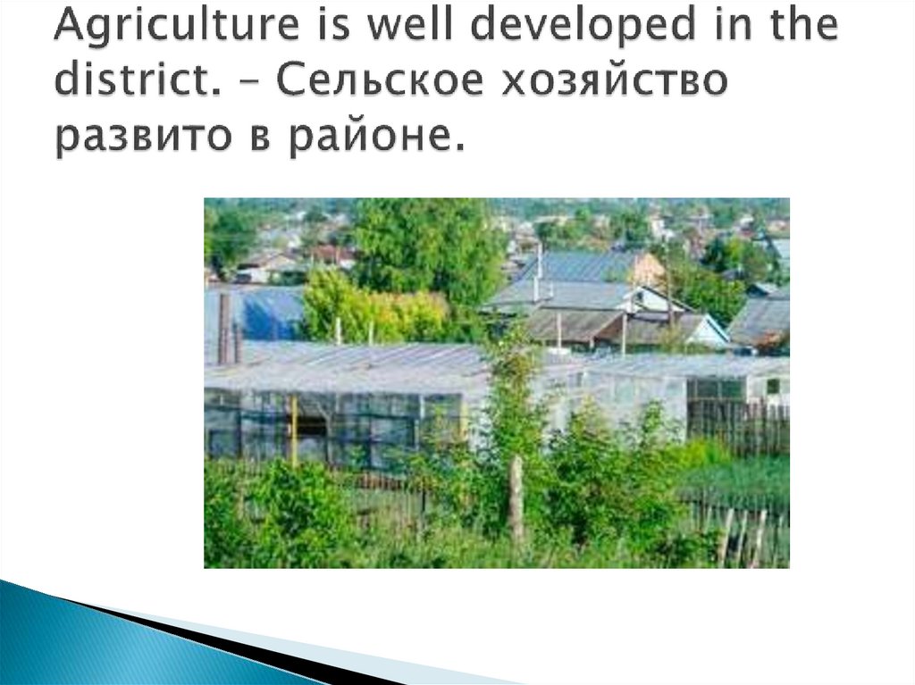 Agriculture is well developed in the district. – Сельское хозяйство развито в районе.