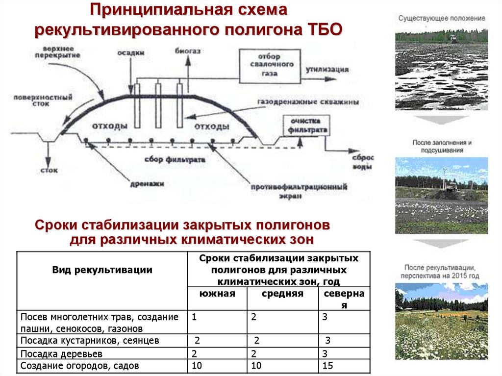 Схема рекультивации нефтезагрязненных земель