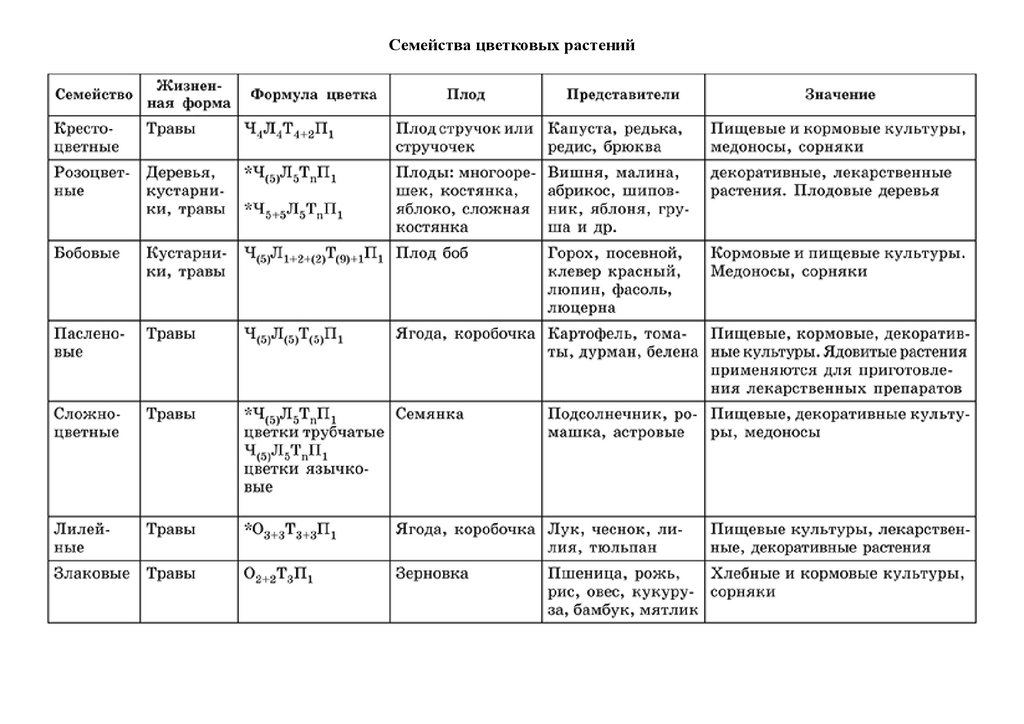 Характеристика растений отдела покрытосеменные