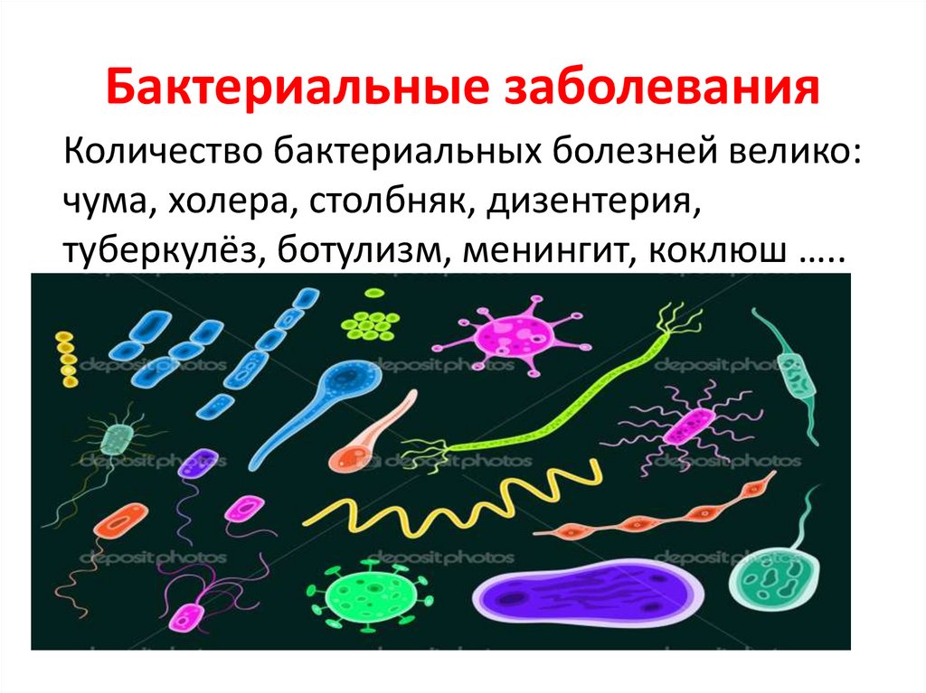 4 заболевания бактериями. Бактериальные заболевания. Все бактериальные заболевания. Бактериальные заболевания человека. Заболевания бактериальной природы.