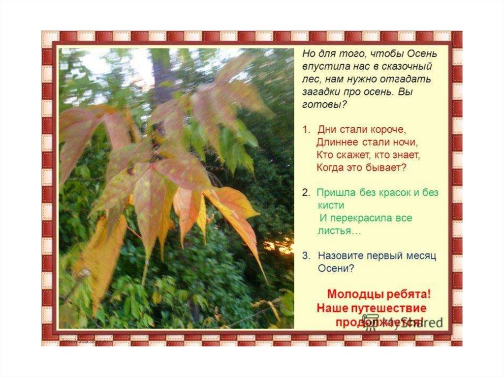 Загадки про осень
