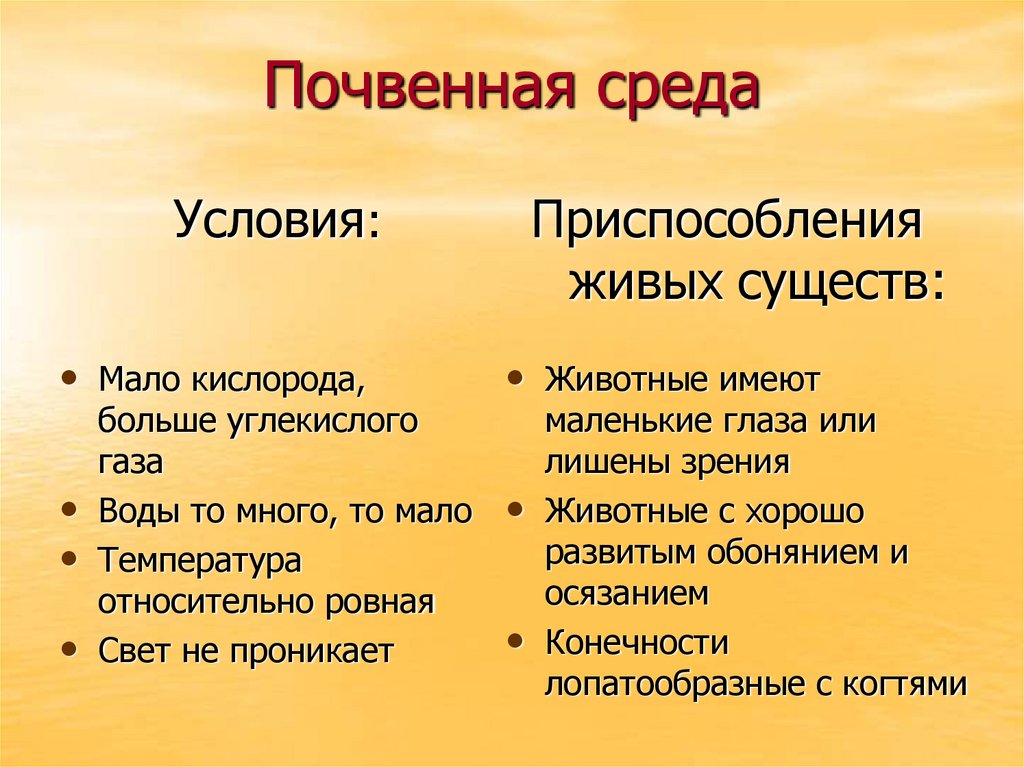 Презентация на тему среда обитания организмов экологические факторы