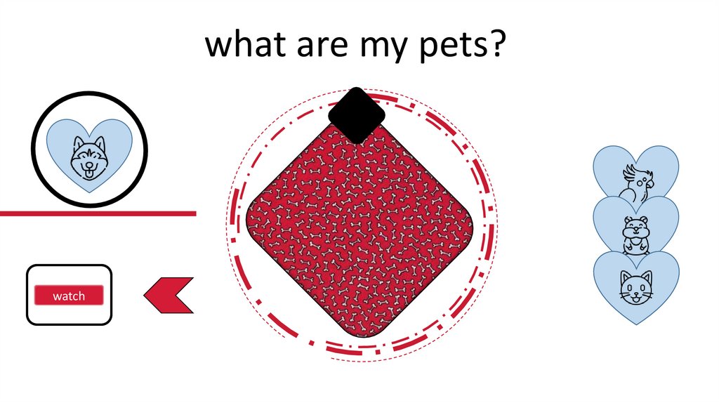 What Are My Pets 