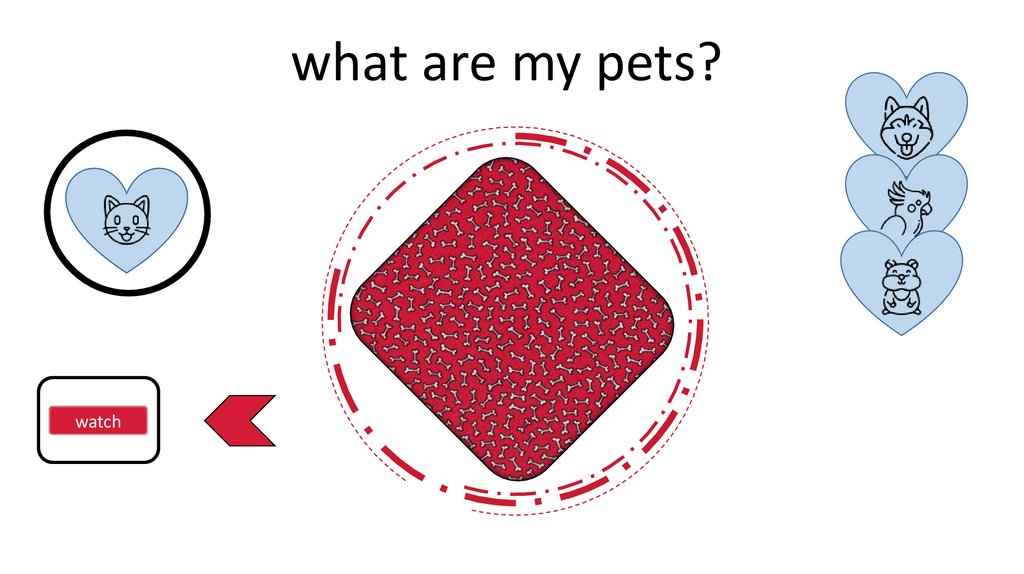 What Are My Pets 
